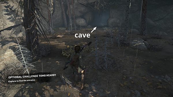 rise of the tomb raider bear hide