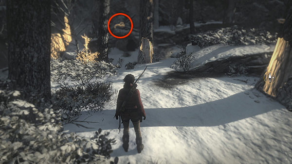 Rise of the Tomb Raider screenshot