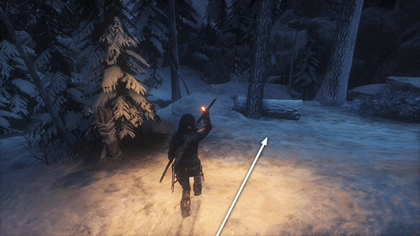 rise of the tomb raider rope arrows