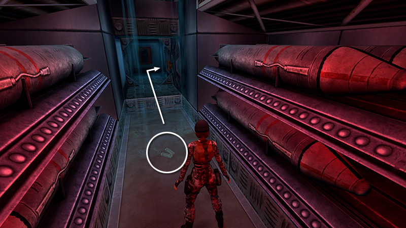 Tomb Raider Chronicles Remastered screenshot