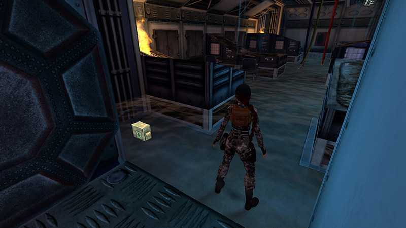 Tomb Raider Chronicles Remastered screenshot