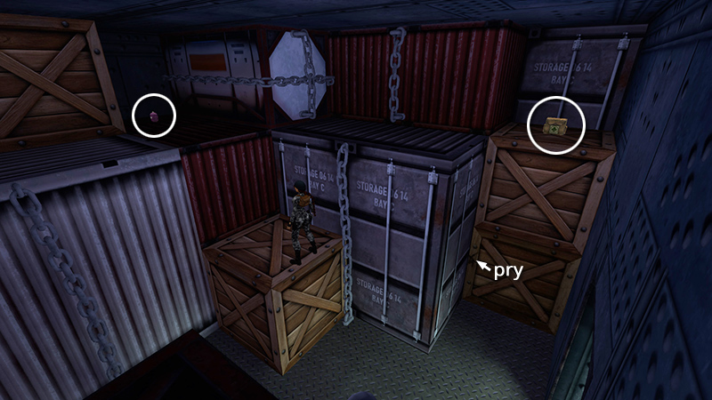 Tomb Raider Chronicles Remastered screenshot