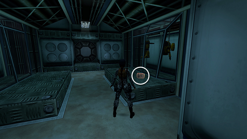 Tomb Raider Chronicles Remastered screenshot