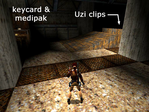 Tomb Raider Golden Mask screenshot